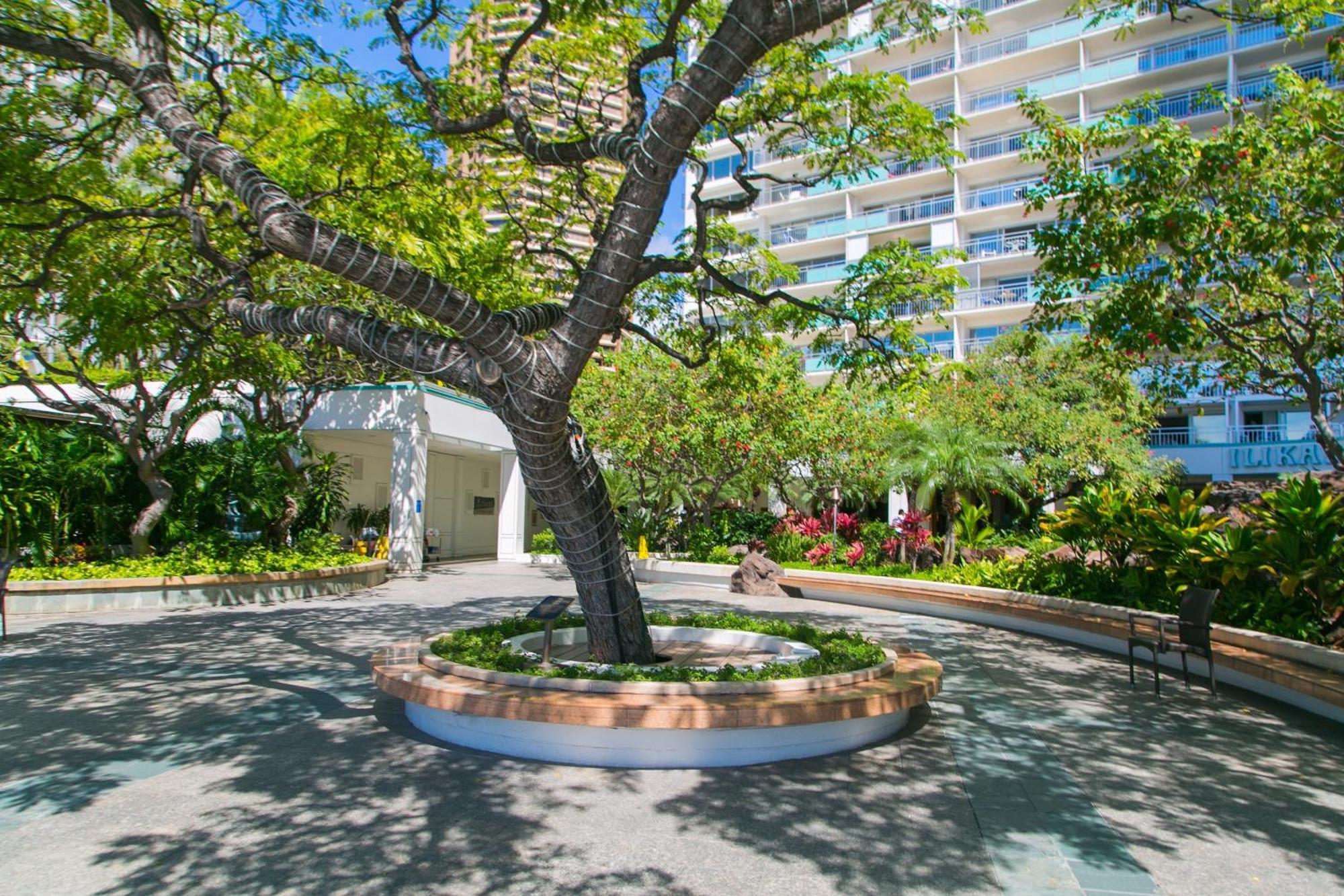 Ilikai Tower 2109 City View 2Br Honolulu Buitenkant foto